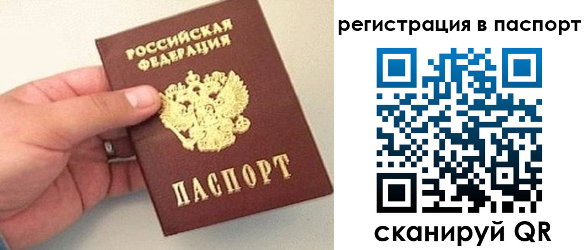 прописка законно в Бородино