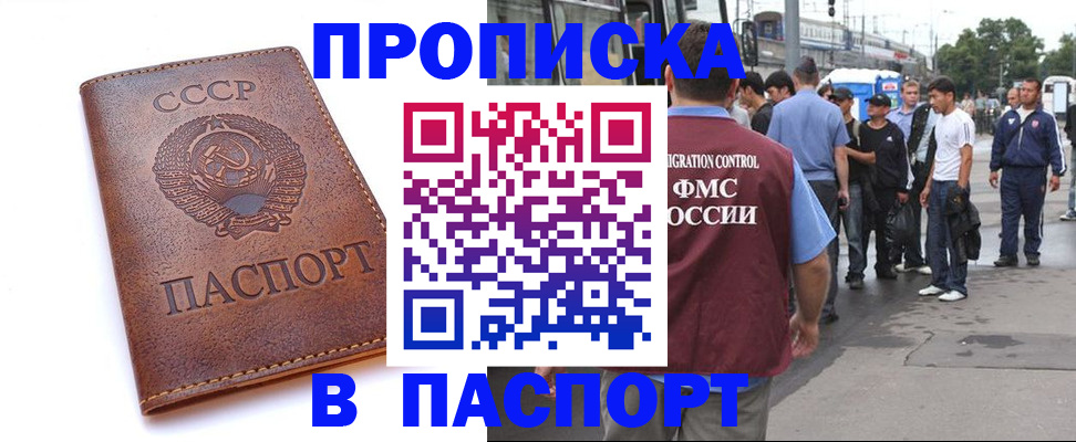 временная регистрация поиск в Бородино